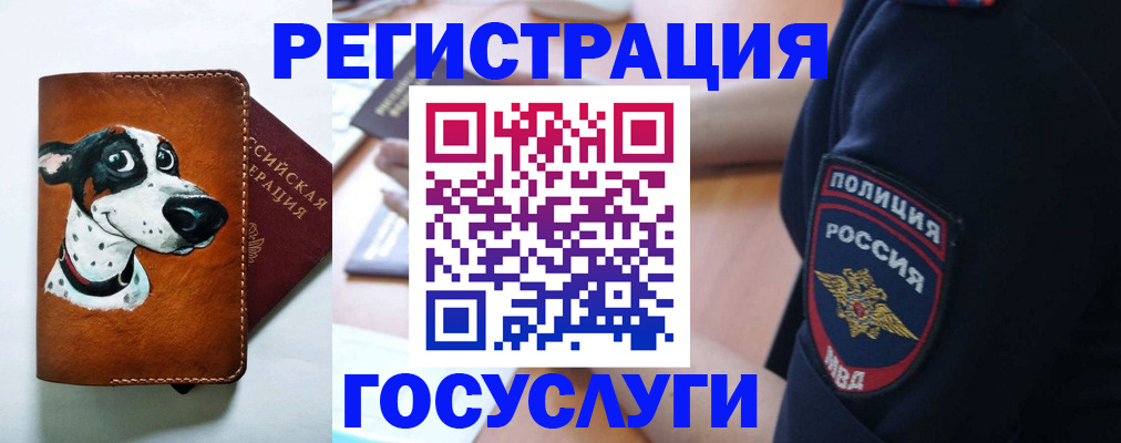 временная регистрация в квартире в Северске